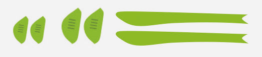 Set Pad&Tips Spinair 56/57 Lime
