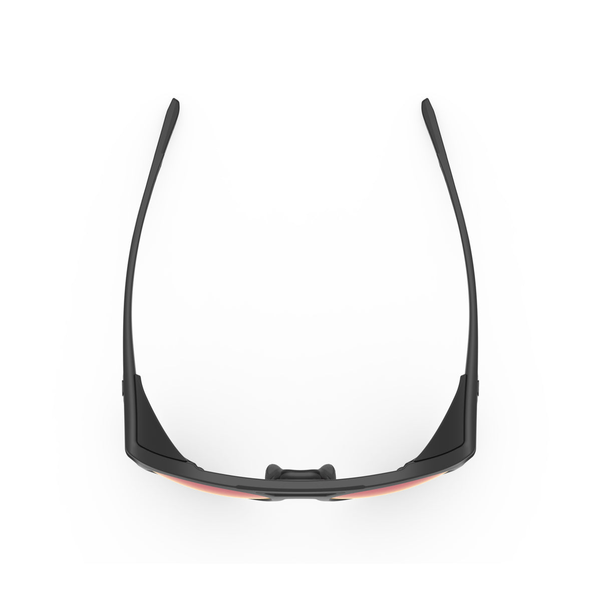Voyager Polarized